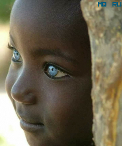 Анна Лысенко: Племя Индонезии с не черной, но темной кожей и то разными по цвету, то удивительно голубыми глазами