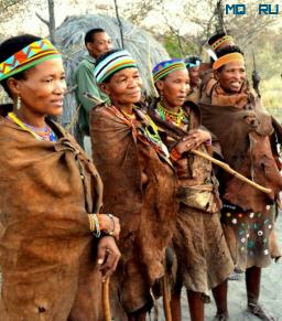 Бушмены - древнейший народ земли и Африки
